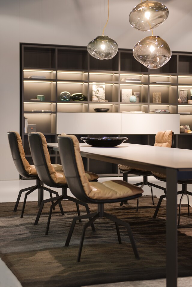 imm Kettnacker ARVA chr 4F Stern oA C Anja  (2)