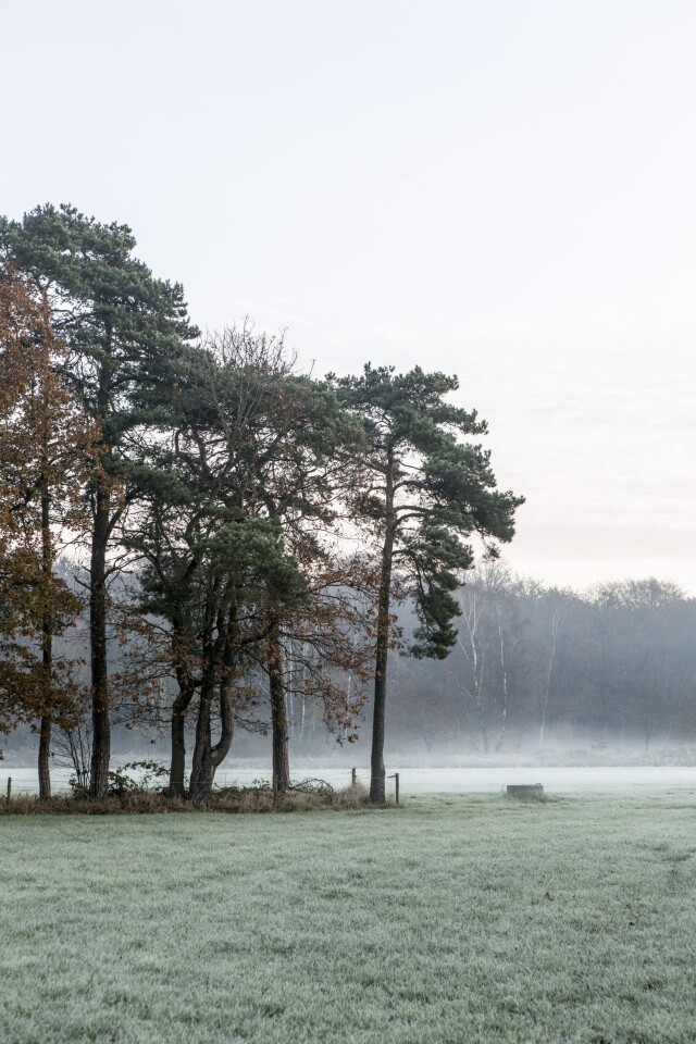 BOOKLET 15 ARCO SET 1 LARGE 083