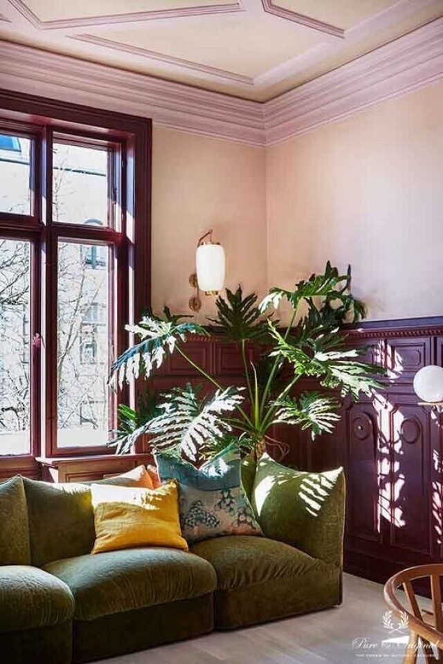 05a55f2481b6c3c71bb3d6e21a531588