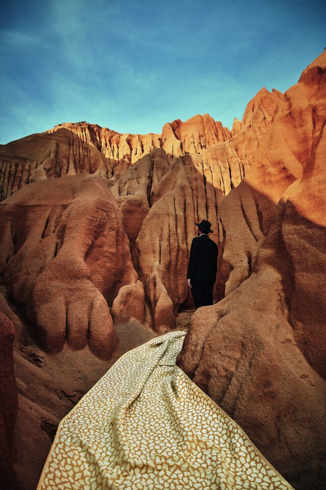 BEACH_INCIDENTALS_509