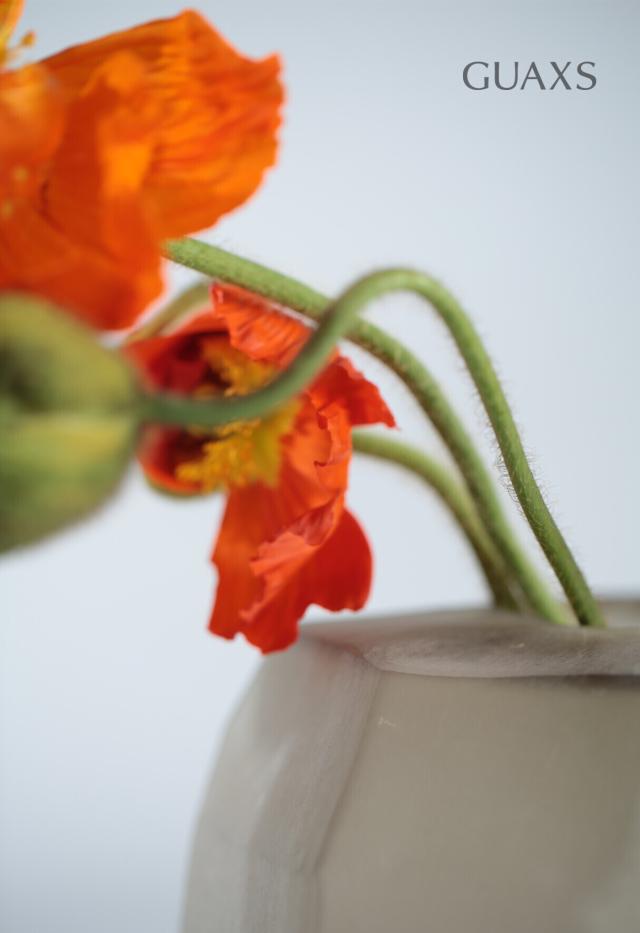 GUAXS- Cubistic smokegrey