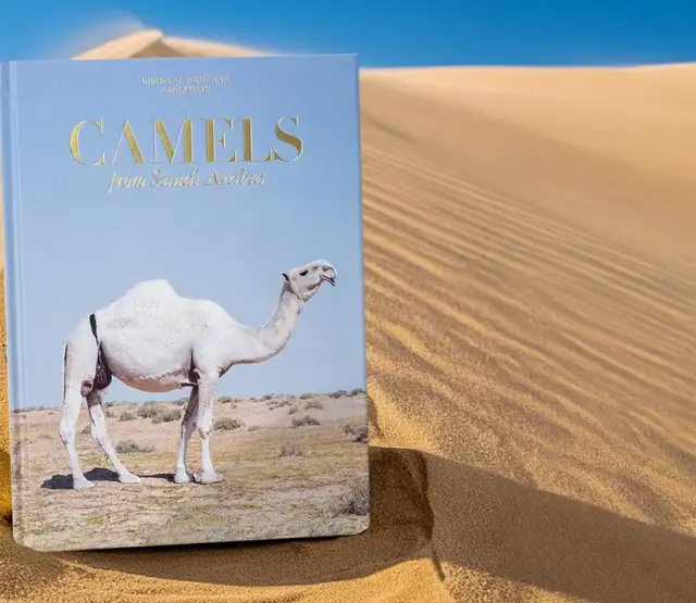 Camels from Saudi Arabia (Classic)