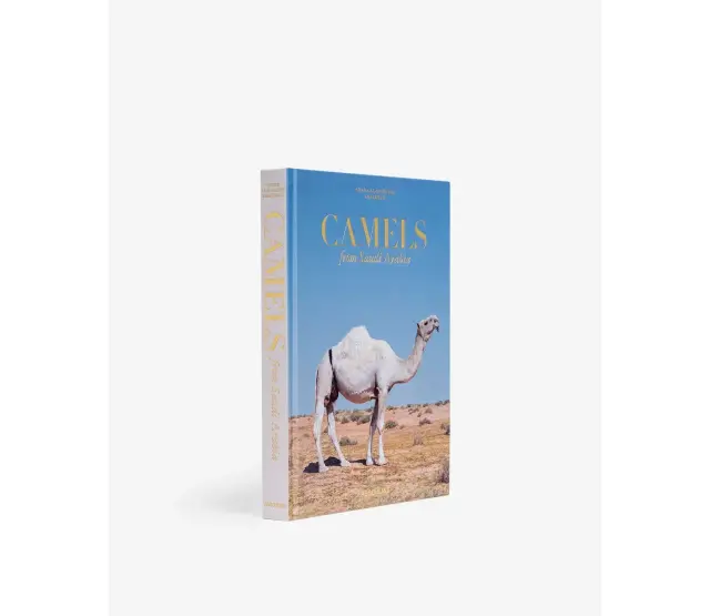 Camels from Saudi Arabia (Classic)